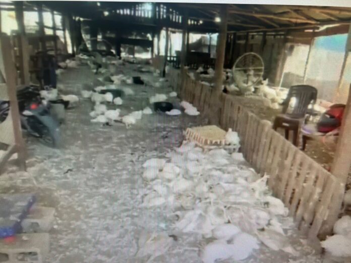 WhatsApp-Image-2025-08-07-at-3.32.08-PM-1170x878 (1)