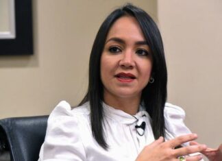 Faride Raful afirma que se investigan las causas del apagón que afectó el metro de Santo Domingo