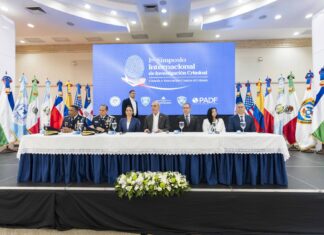 Yeni Berenice afirma que robo de celulares y motores en RD responde a "oferta y demanda"