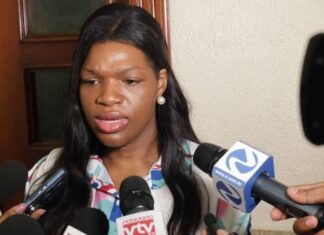 MP pide siete años de prisión para Elizabeth Silverio en nuevo juicio