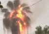 Rayo impacta palmera, la incendia y una parte en llamas cae sobre una casa, provocando un siniestro
