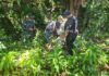 Exregidor reportado como desaparecido fue encontrado muerto en Dajabón;