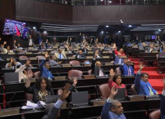Alertas Amber, Silver y Rosa: así funcionará la nueva ley de desaparecidos aprobada por congresistas