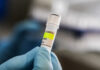 Los seis países con casos de hantavirus