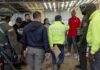Dominicanos van a prisión en Colombia por organizar una pelea de perros en ese país