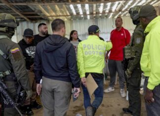 Dominicanos van a prisión en Colombia por organizar una pelea de perros en ese país