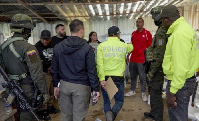 DOMINICANOS-PERROS-1140x694