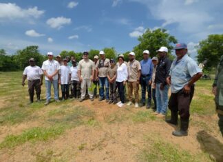 Ministro de Medio Ambiente destaca recuperación forestal en la frontera y expresa preocupación por daños al río Masacre