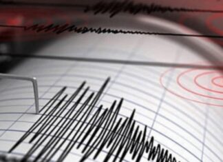Japón también sufre un sismo al norte del país de magnitud 6,9