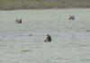 Familiares de pescadores desaparecidos en Montecristi reclaman una búsqueda aérea y marítima