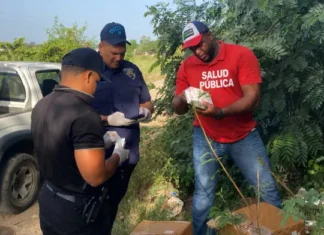 Autoridades investigan hallazgo de medicamentos vencidos abandonados en Dajabón