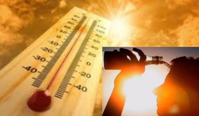 calor