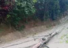 Camión derriba poste del tendido eléctrico en Jiménez; Bomberos de Restauración asistieron en el tránsito