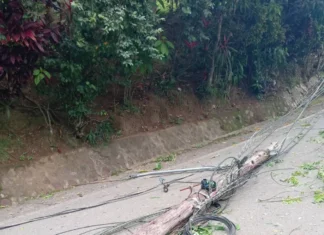Camión derriba poste del tendido eléctrico en Jiménez; Bomberos de Restauración asistieron en el tránsito