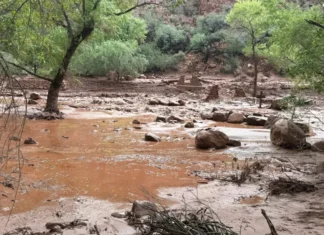 Inundación repentina deja un muerto y 15 personas sin localizar en el Gran Cañón