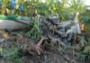 Avioneta se precipita en Hatillo Palma tras supuesto impacto con un dron