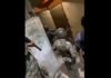 Envían a prisión hombre acusado de intentar matar a mujer rescatada por policías tras romper puerta