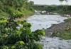 Parceleros denuncian espuma blanca en el río Masacre y temen impacto en cultivos de arroz