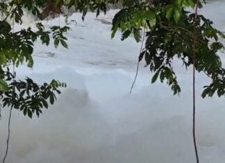 Parceleros denuncian presencia de espuma blanca en el río Masacre y temen por cultivos de arroz