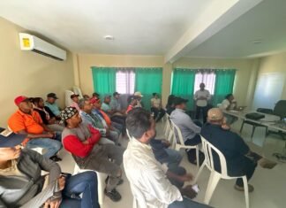 Agricultura impulsa análisis de suelo gratuitos para fortalecer la producción de arroz en Dajabón ante eliminación de aranceles