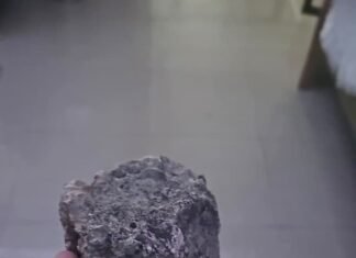 Apresan a hombre acusado de lanzar una piedra contra el vehículo de la cantante Miriam Cruz